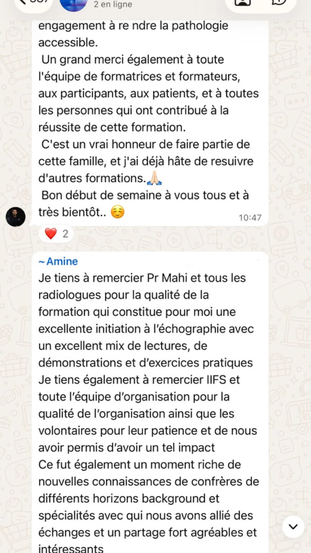 Avis participant IIFS 3